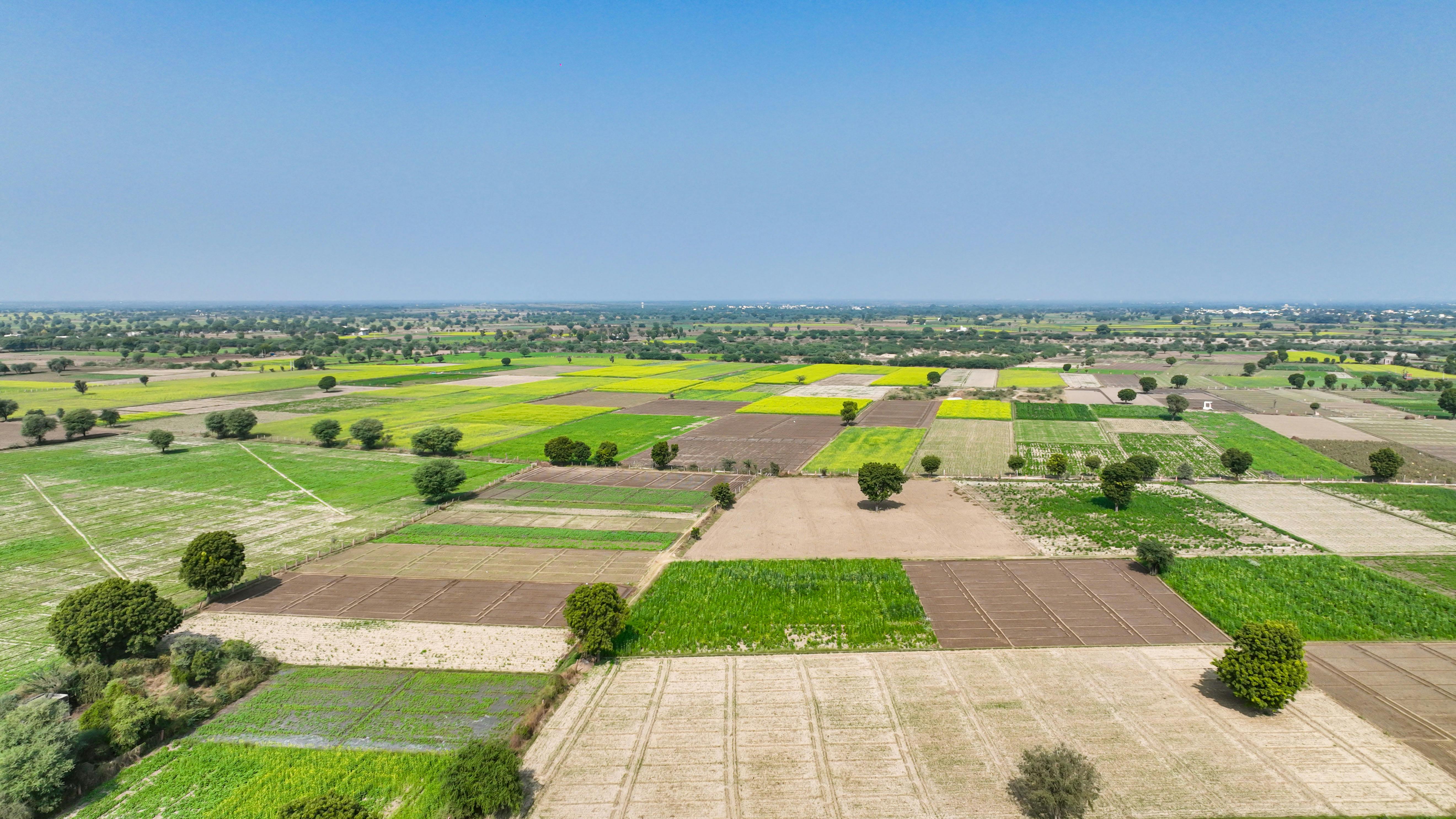 Land